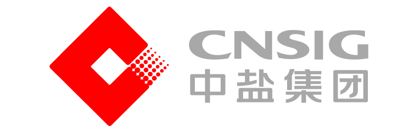 中盐集团VI设计院